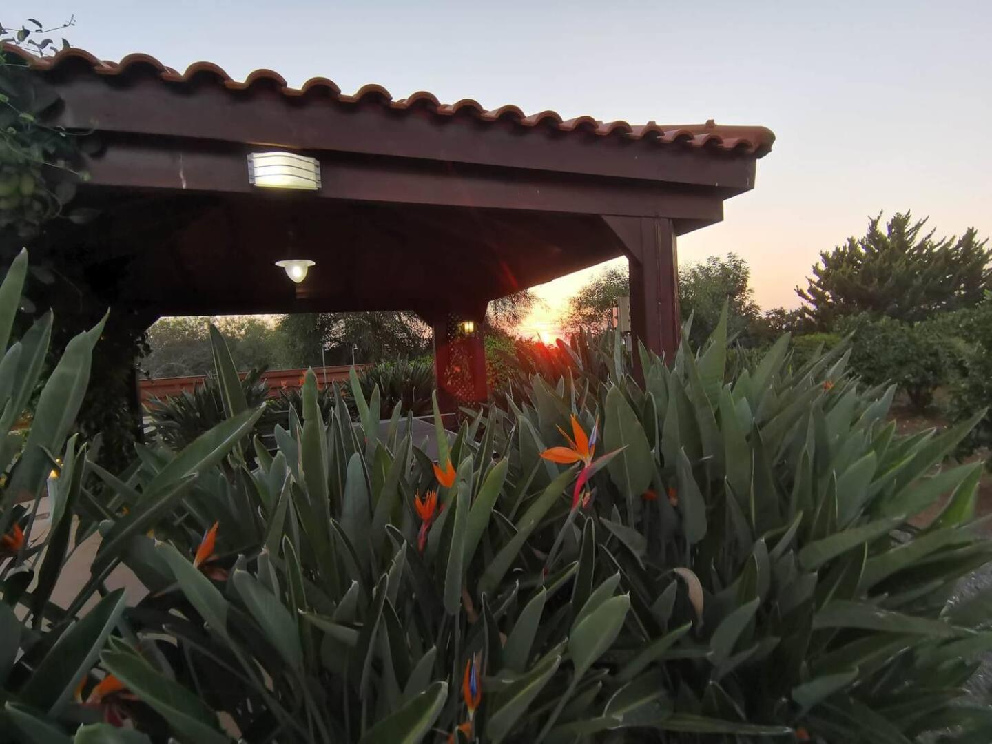 Orchard Blossom Private Villa With Pool Phrenaros Екстериор снимка